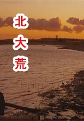 国产成人精品免费视频